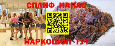 гидра Гусиноозёрск