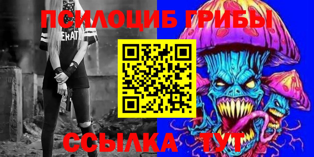 Новозыбков  где купить наркоту  Вход с VPN  Галлюциногенные грибы Psilocybine cubensis  Галлюциногенные грибы Psilocybe 